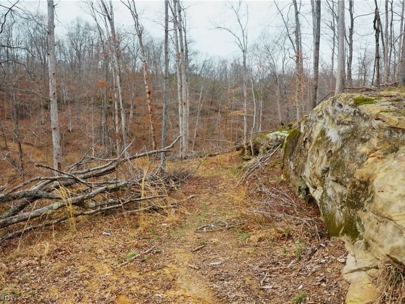 Brimstone Road, Coolville, OH 45723 Photo 3