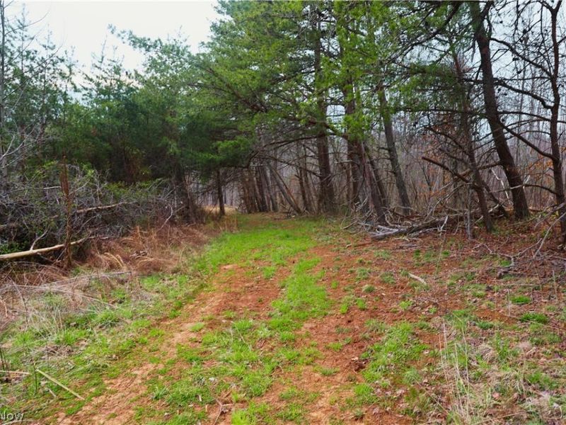 Brimstone Road, Coolville, OH 45723 Photo 4