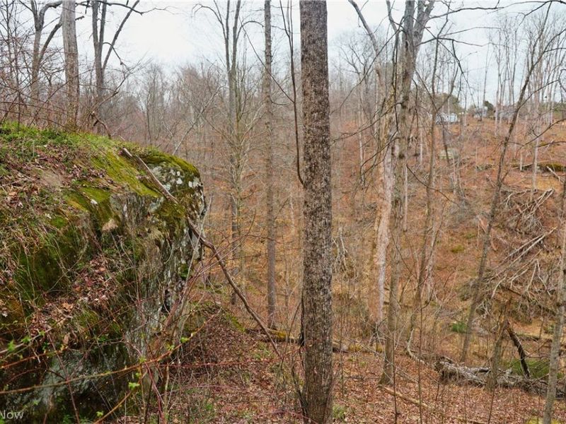 Brimstone Road, Coolville, OH 45723 Photo 5