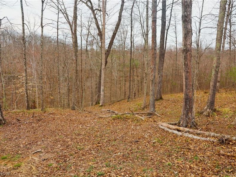 Brimstone Road, Coolville, OH 45723 Photo 6