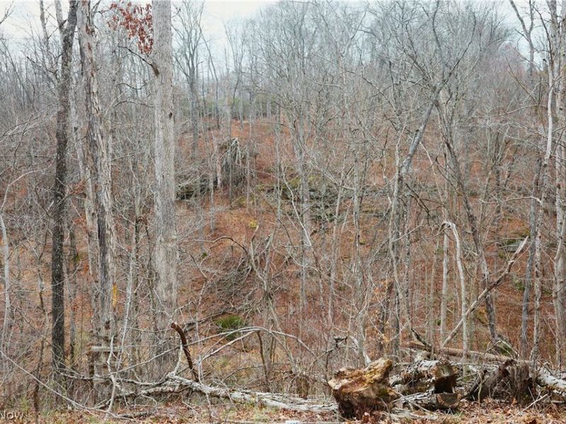 Brimstone Road, Coolville, OH 45723 Photo 7