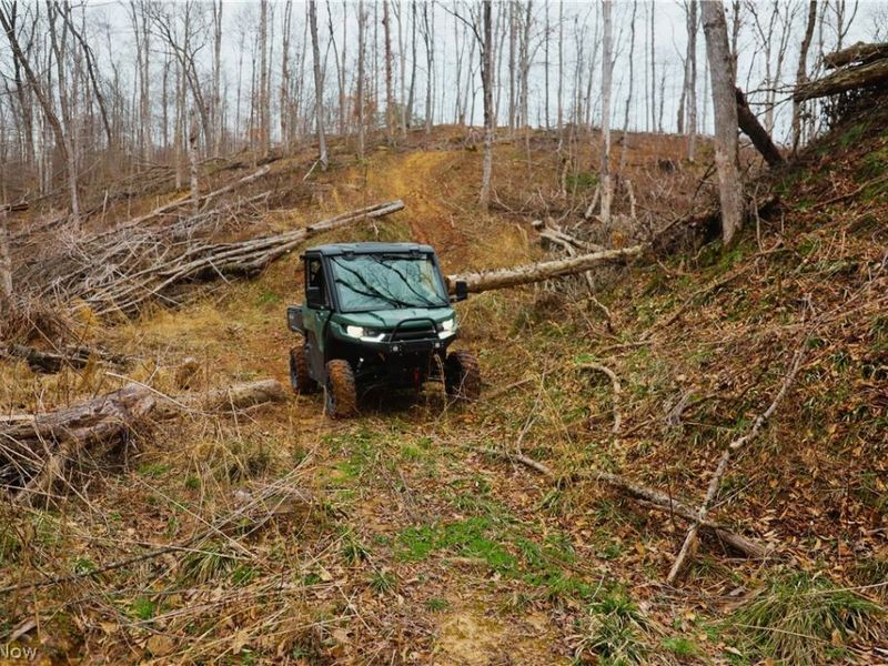 Brimstone Road, Coolville, OH 45723 Photo 9