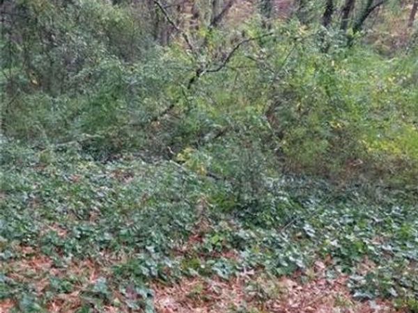 3387 Lake Valley Road , Atlanta, GA 30331