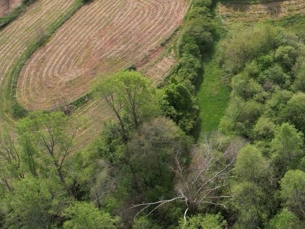 0000 Franklin Goldmine 6.56 acres Road , Cumming, GA 30028