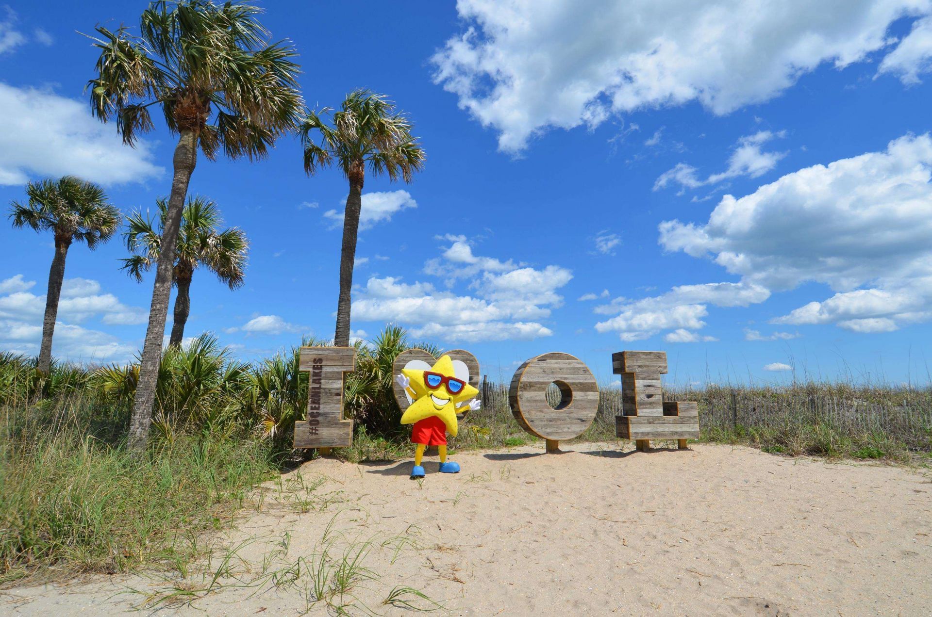 6001-n75 S Kings Highway  Photo 27