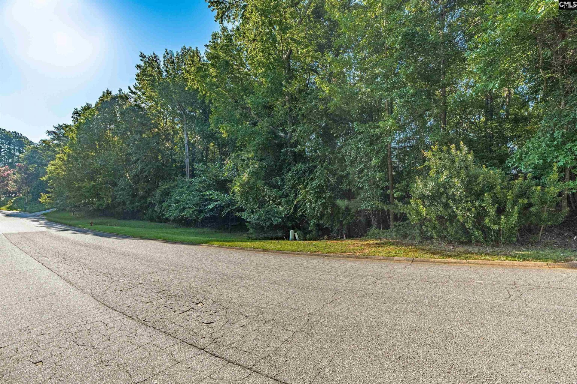 118 Lake Summit Drive  Photo 11