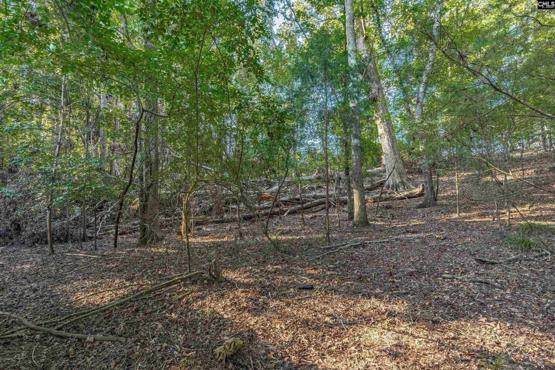 118 Lake Summit Drive  Photo 12