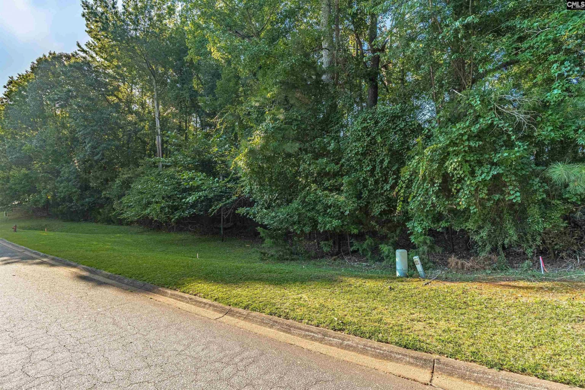 118 Lake Summit Drive  Photo 13