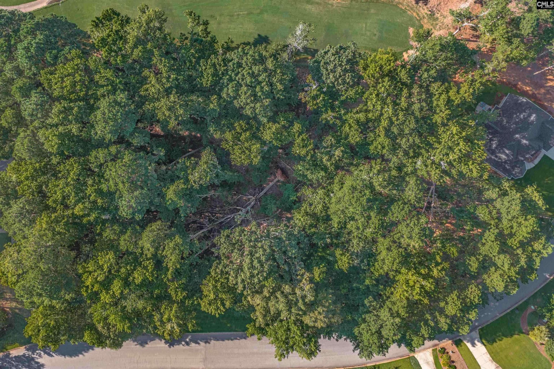 118 Lake Summit Drive  Photo 5