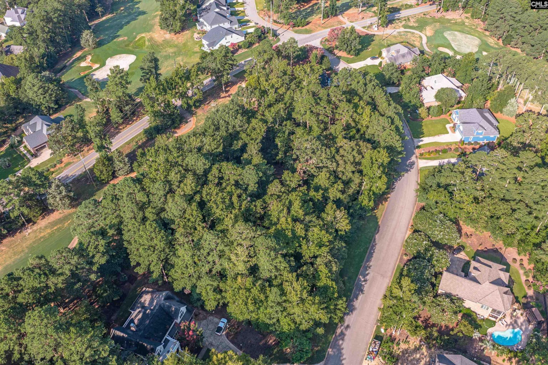 118 Lake Summit Drive  Photo 6