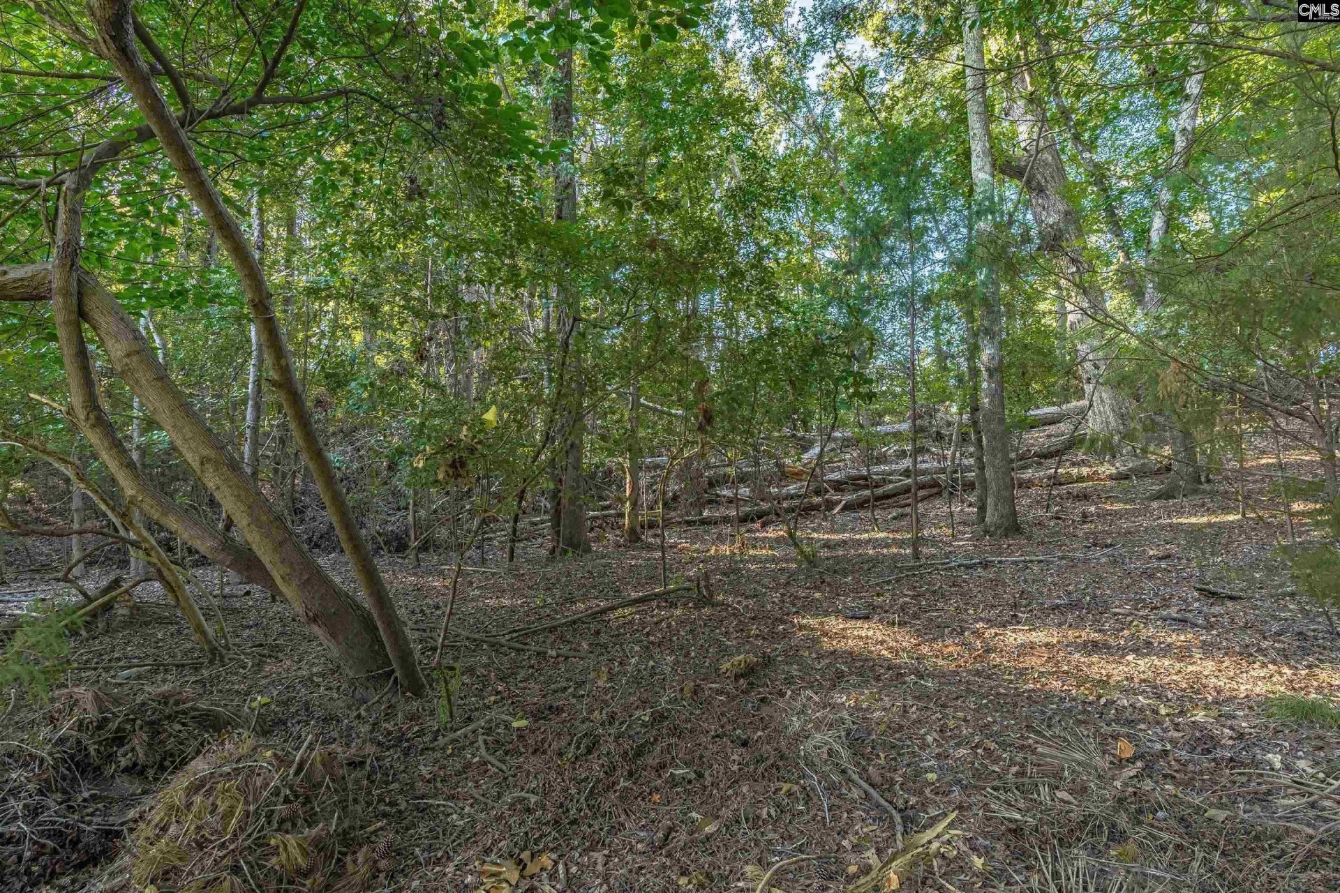 118 Lake Summit Drive  Photo 7