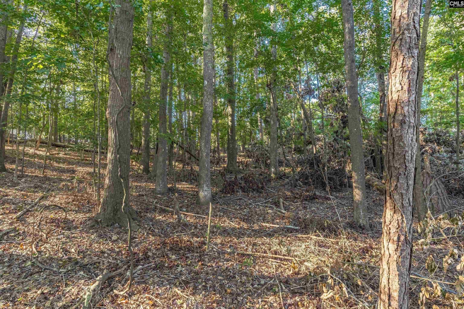 118 Lake Summit Drive  Photo 9