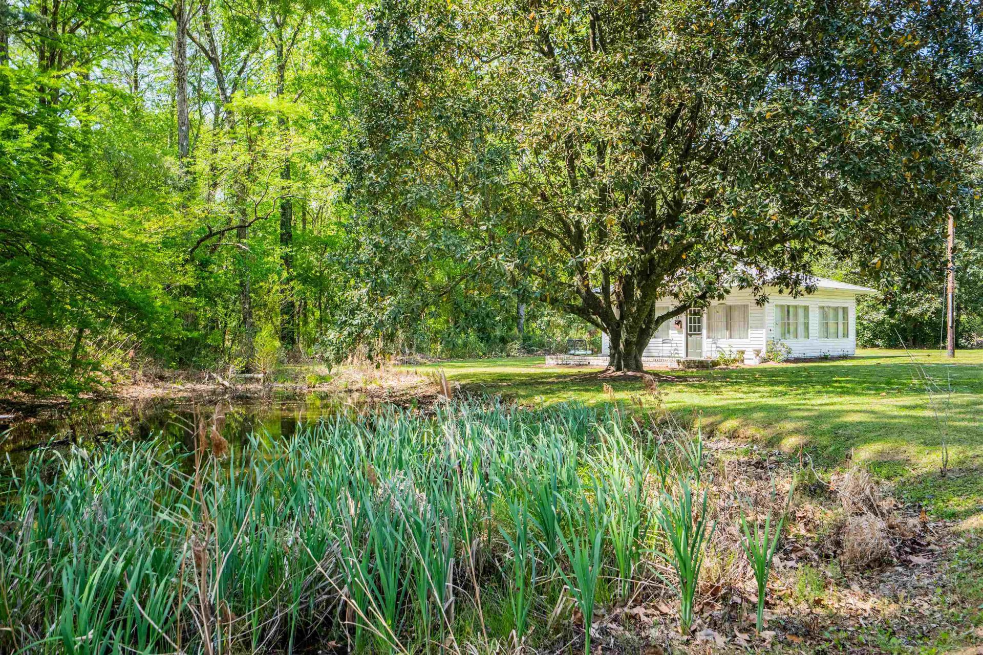 4820 Highway 701 South Photo 44