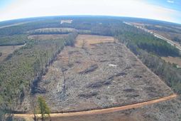 Tbd Log Cabin Lane photo 4