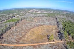 Tbd Log Cabin Lane photo 4