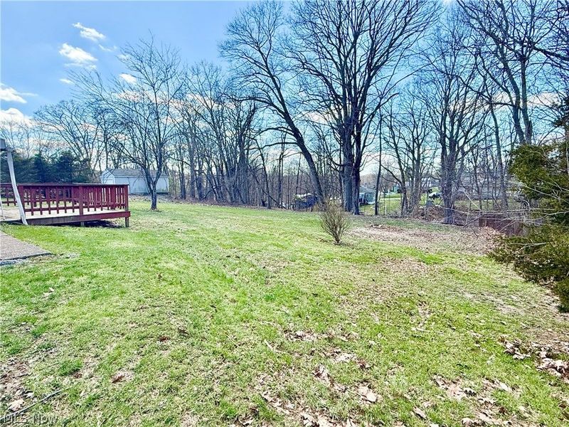 347 Patton Avenue, Wintersville, OH 43953 Photo 7