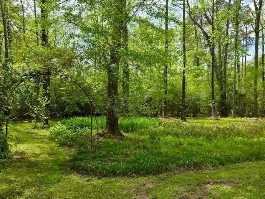 Property Image 64