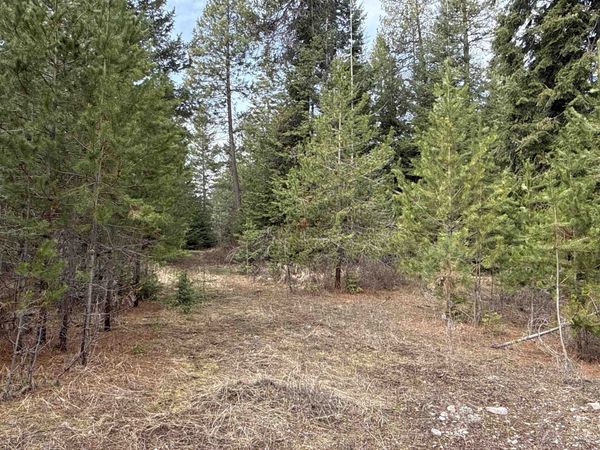 4828 Eagle Ridge Way, Springdale, WA 99173