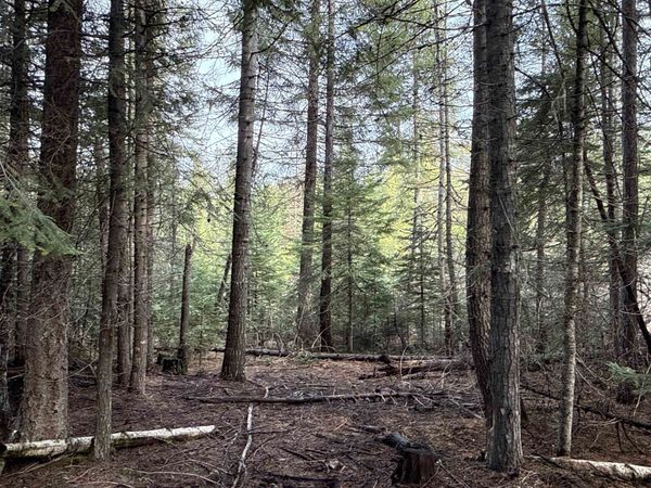 NKA Eagle Ridge Way, Springdale, WA 99173