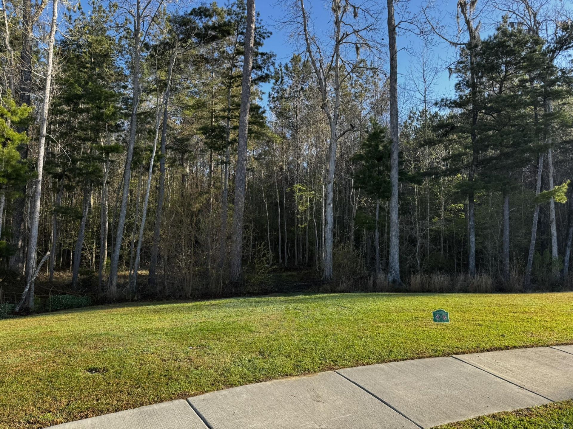 0 Beech Hill Road Photo 14