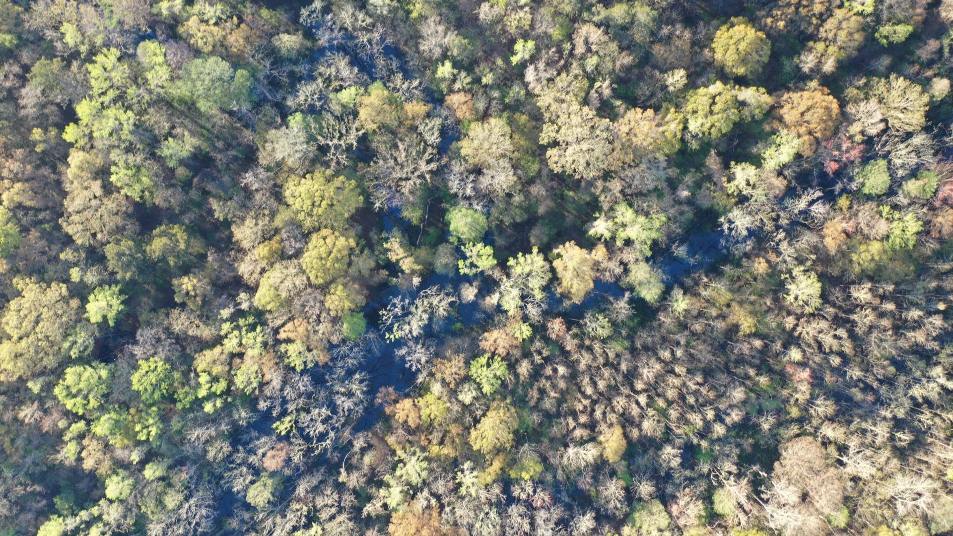 0 Beech Hill Road Photo 17