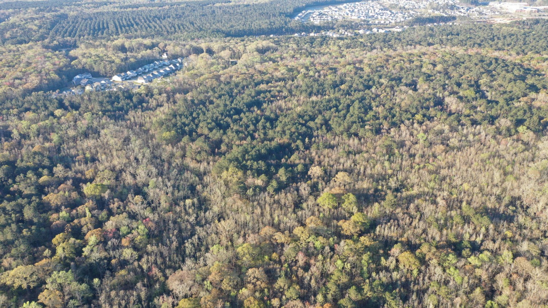 0 Beech Hill Road Photo 19