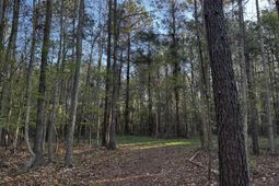 0 Beech Hill Road photo 4