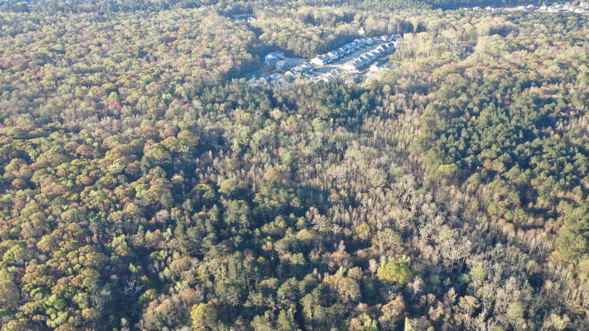 0 Beech Hill Road Photo 20