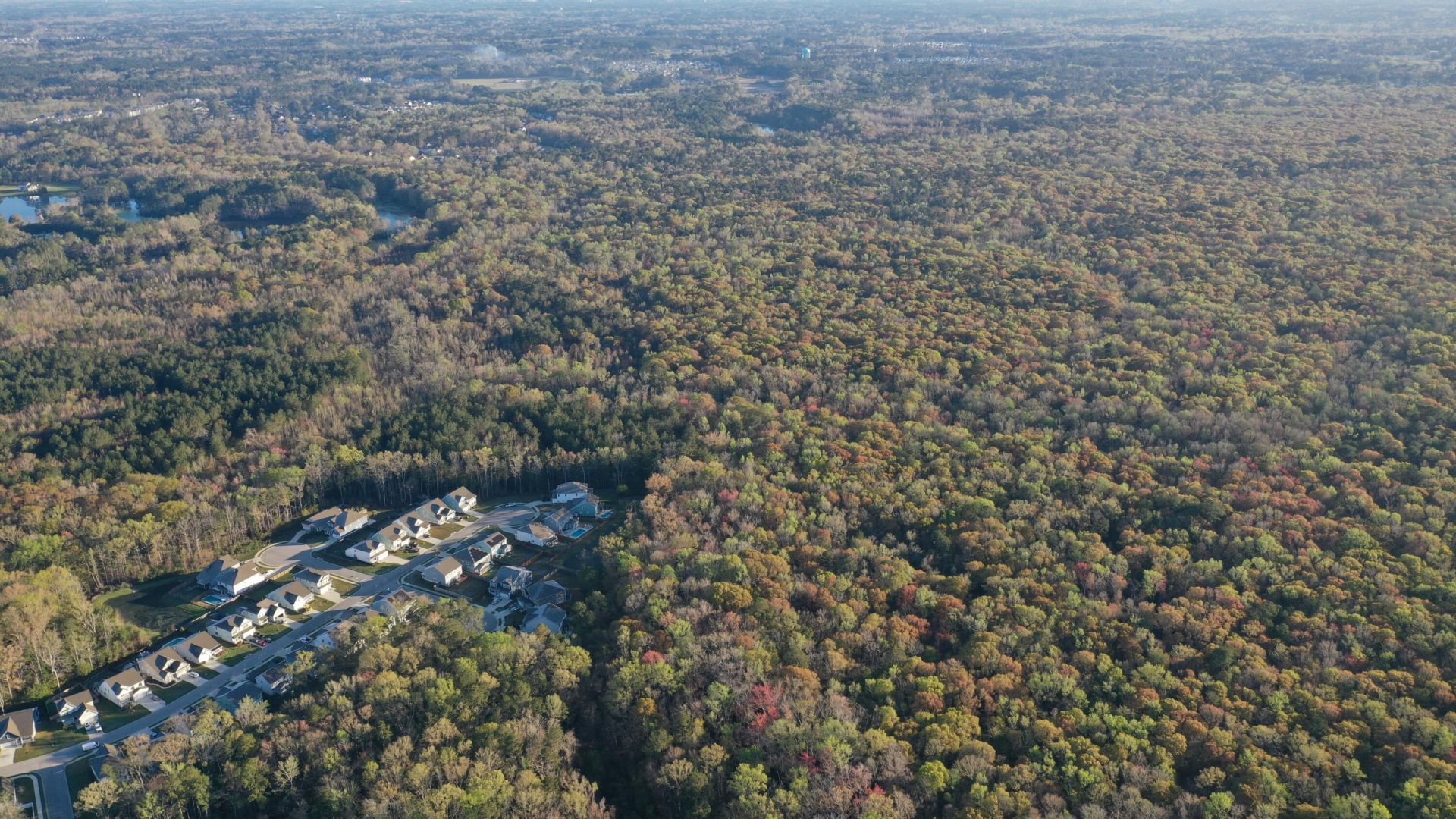 0 Beech Hill Road Photo 22