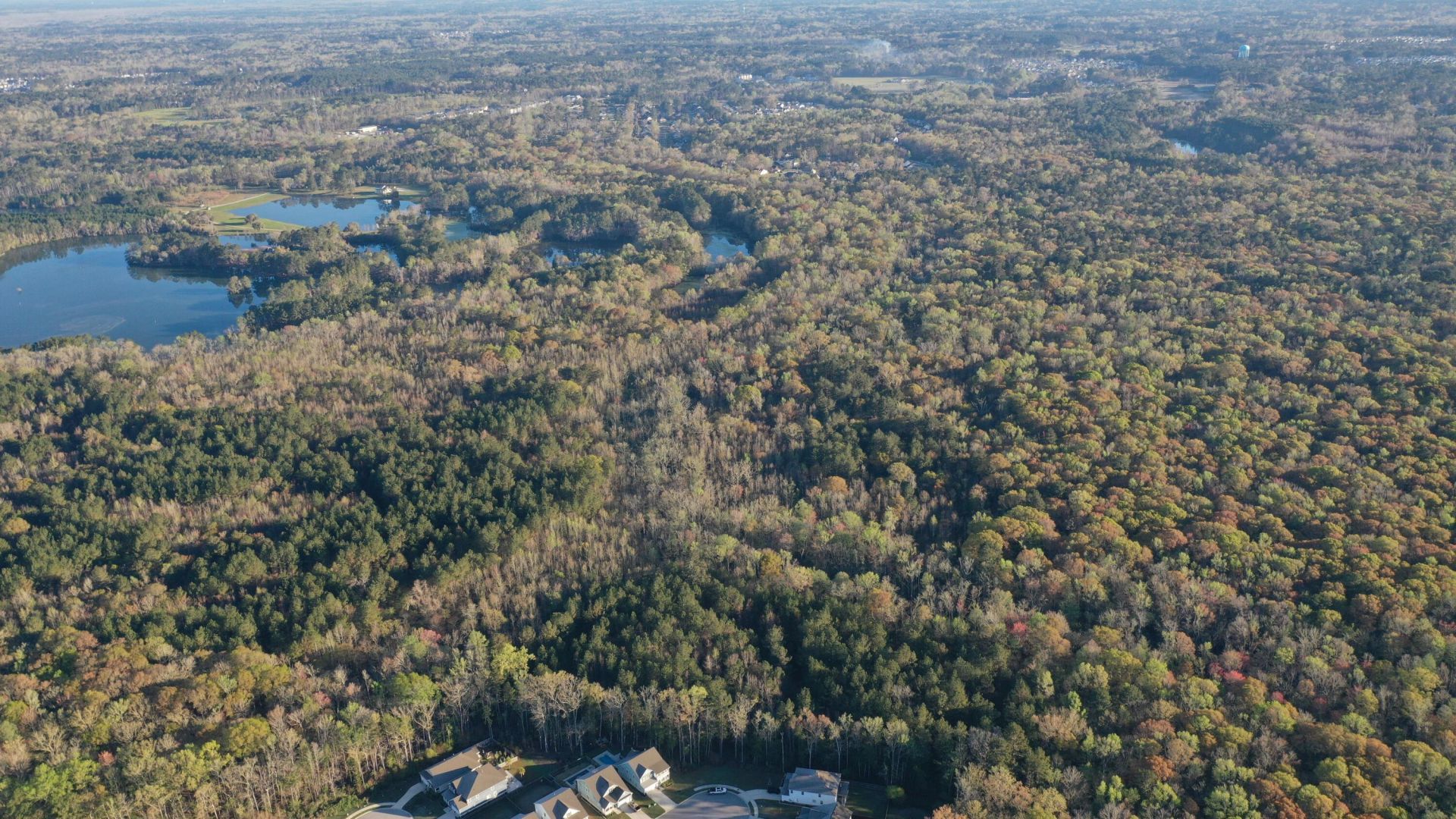 0 Beech Hill Road Photo 23