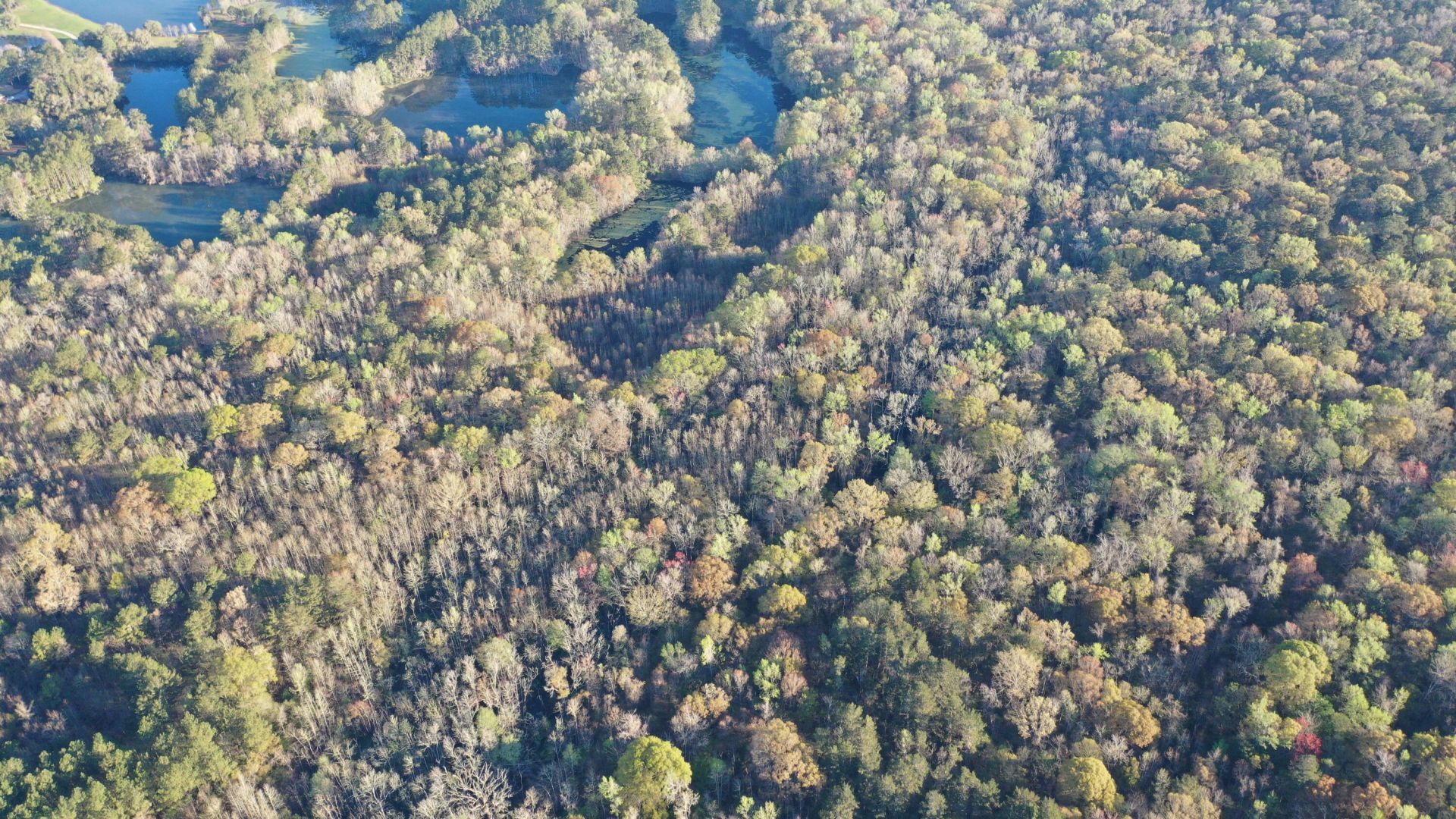 0 Beech Hill Road Photo 25