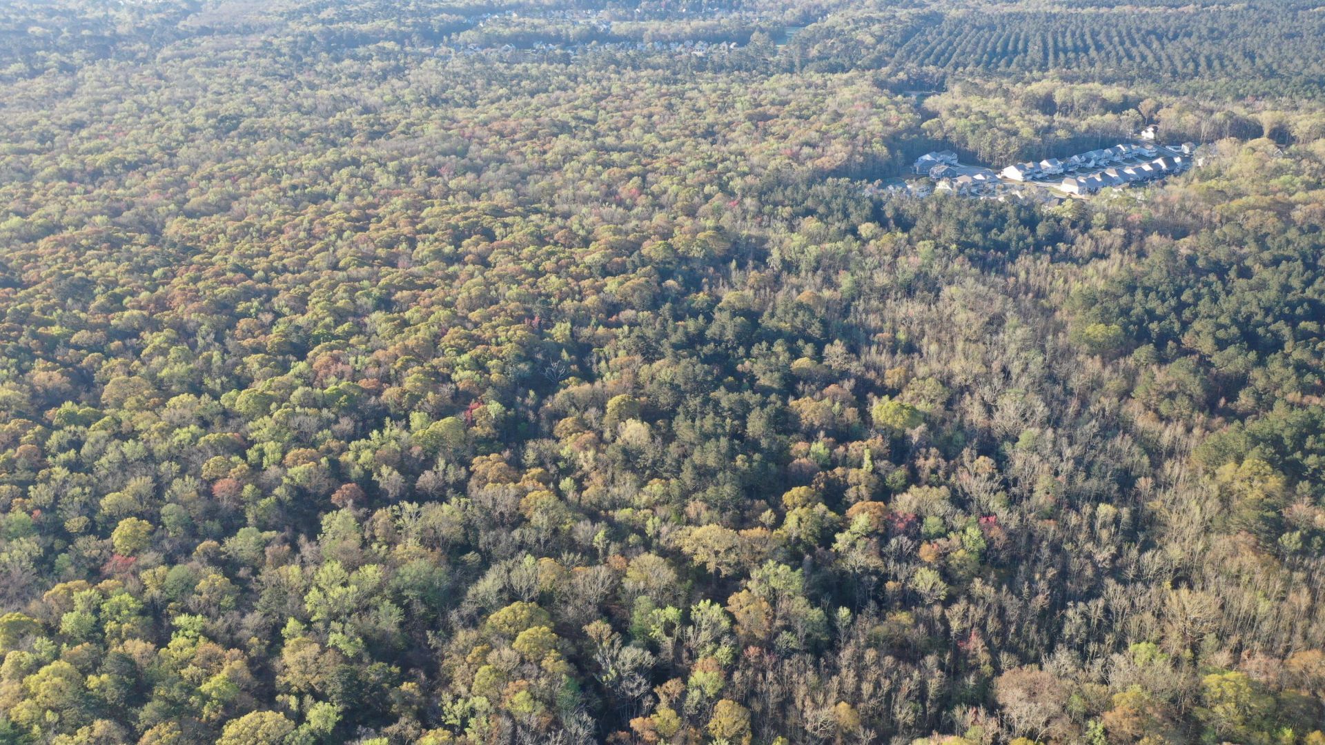 0 Beech Hill Road Photo 27