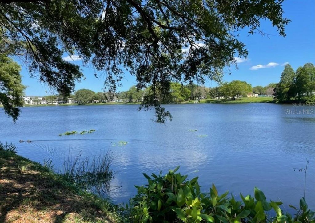 2624 12th Street N, Unit 3, Saint Petersburg, FL 33704 Photo