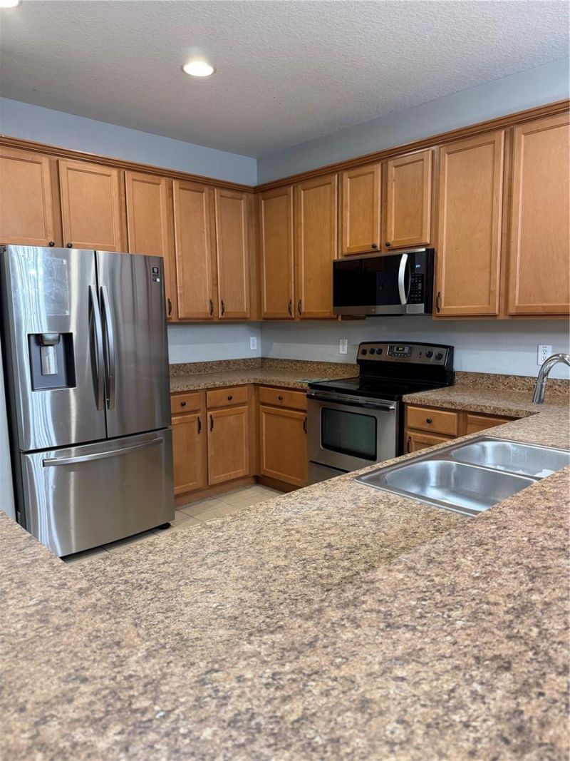 10117 Celtic Ash Drive , Ruskin, FL 33573 Photo