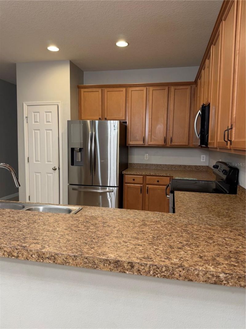 10117 Celtic Ash Drive , Ruskin, FL 33573 Photo