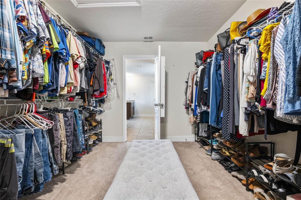 1509 Spinfisher Drive , Apopka, FL 32712 Photo