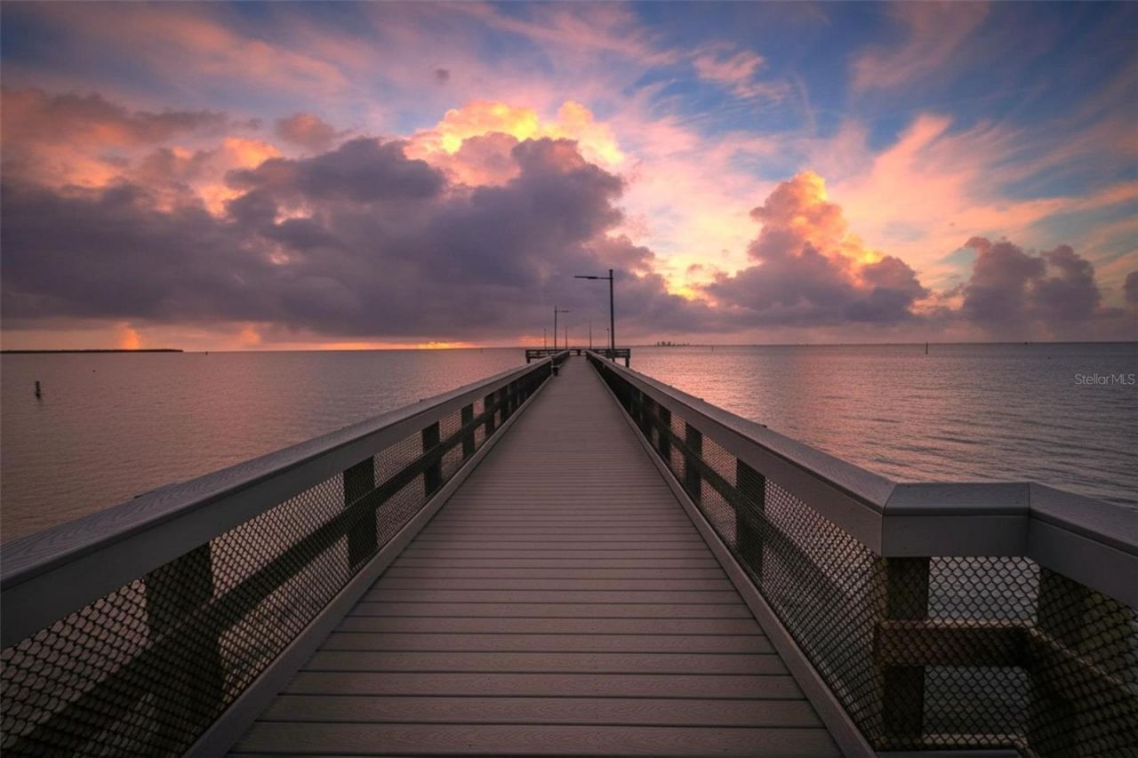 1071 Seagrape Drive , Ruskin, FL 33570 Photo