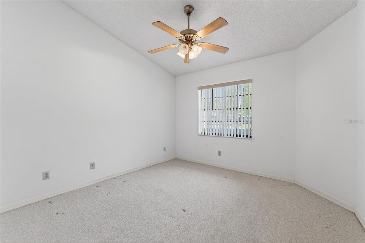 2369 Beverly Drive , Dunedin, FL 34698 Photo