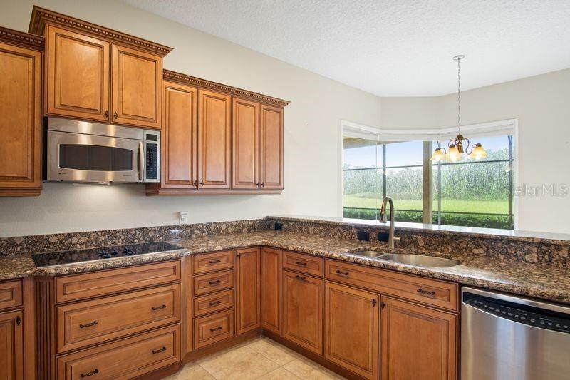 1752 Lee Janzen Drive , Kissimmee, FL 34744 Photo