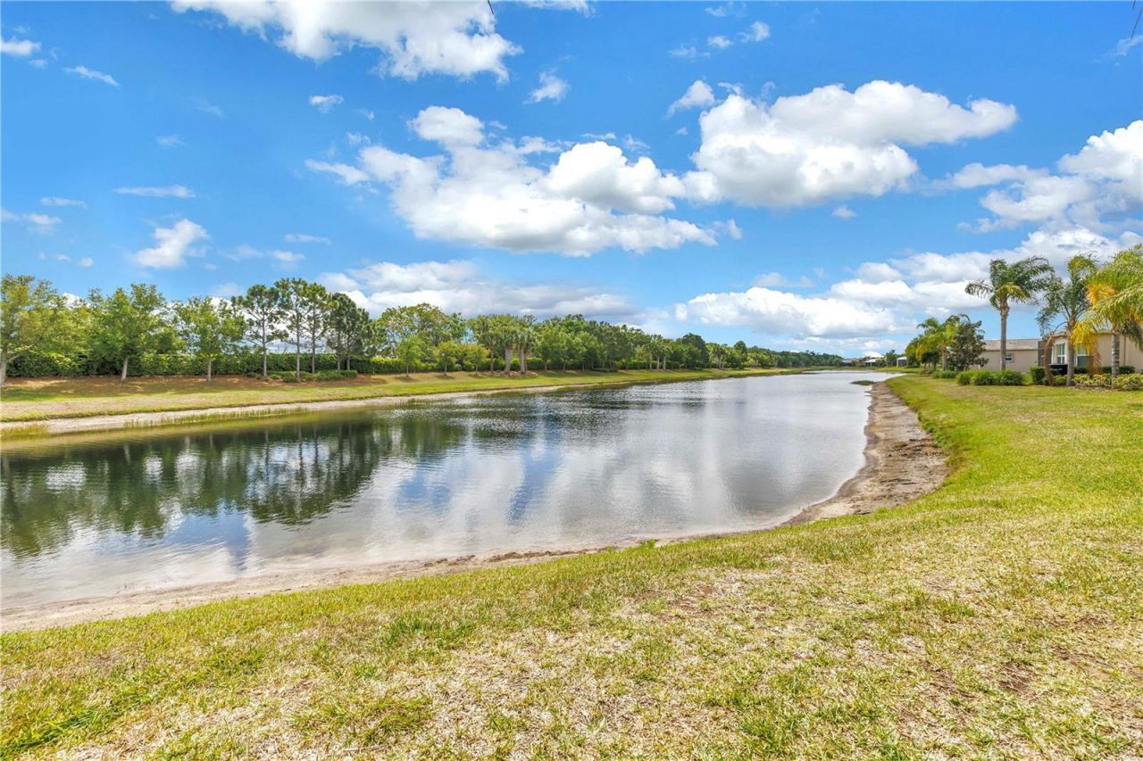 15939 Cape Coral Drive , Wimauma, FL 33598 Photo