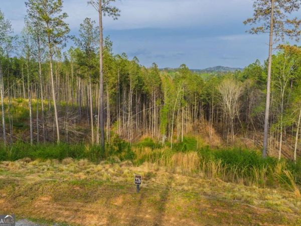 LOT 226 West Vista Ridge Parkway, Talking Rock, GA 30175