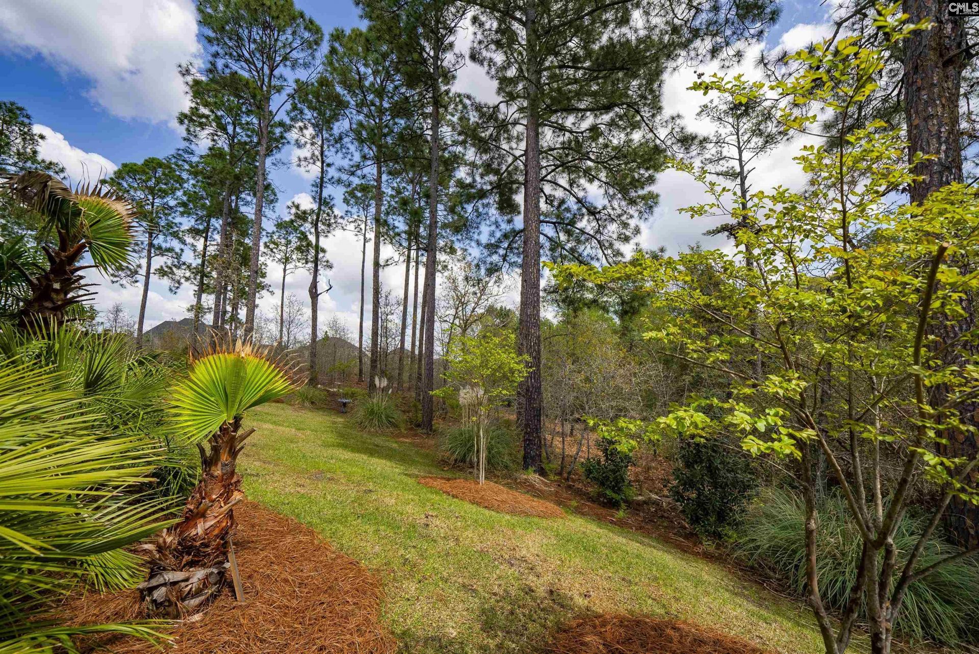 480 Palm Sedge Loop  Photo 57