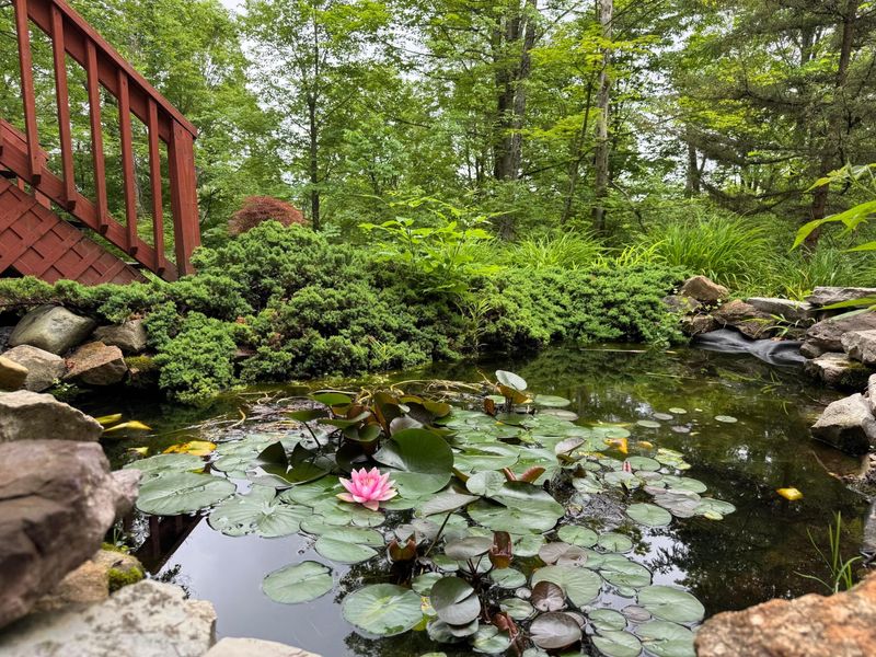 4251 Alward Road SW, Pataskala, OH 43062 Photo 47