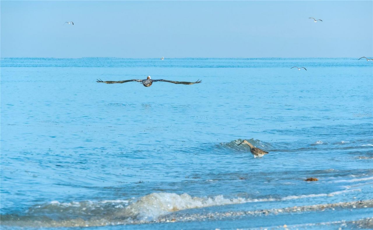 741 Portwine Court , Englewood, FL 34223 Photo