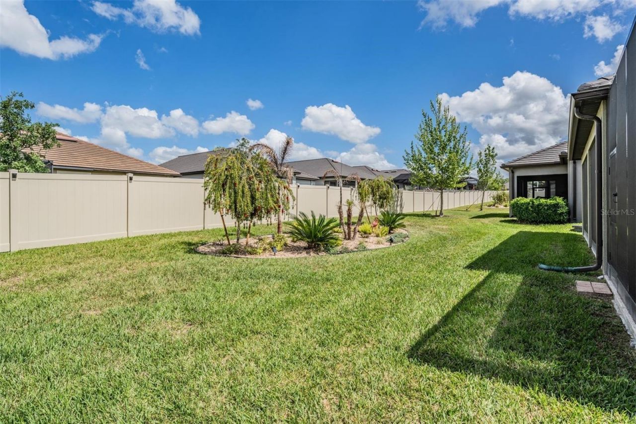 31899 Magna Gulf Loop, San Antonio, FL 33576 Photo