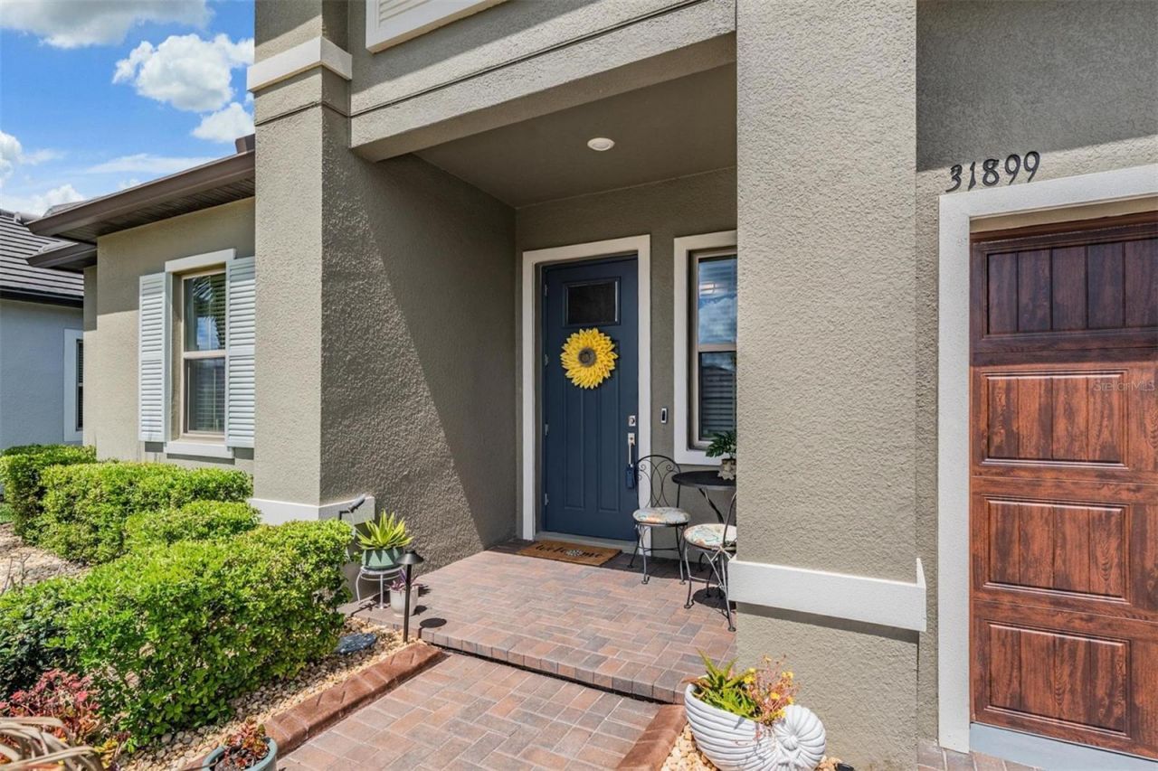 31899 Magna Gulf Loop, San Antonio, FL 33576 Photo