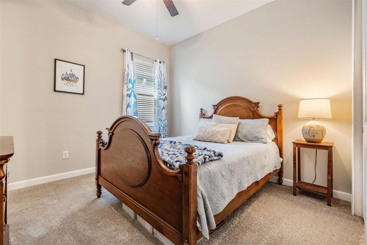 31899 Magna Gulf Loop, San Antonio, FL 33576 Photo