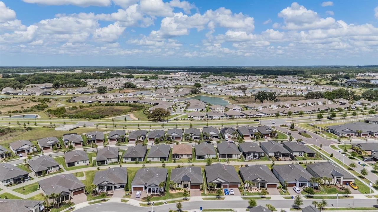 31899 Magna Gulf Loop, San Antonio, FL 33576 Photo