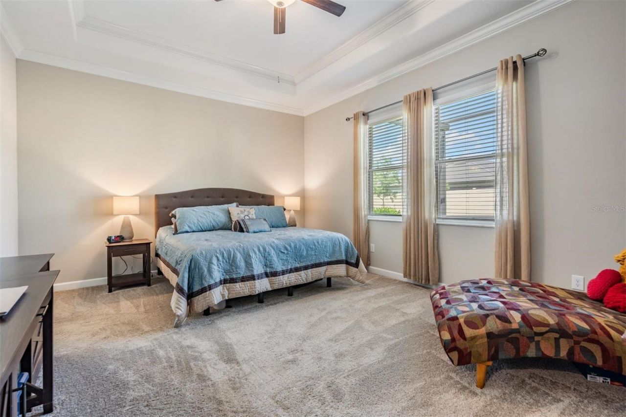 31899 Magna Gulf Loop, San Antonio, FL 33576 Photo