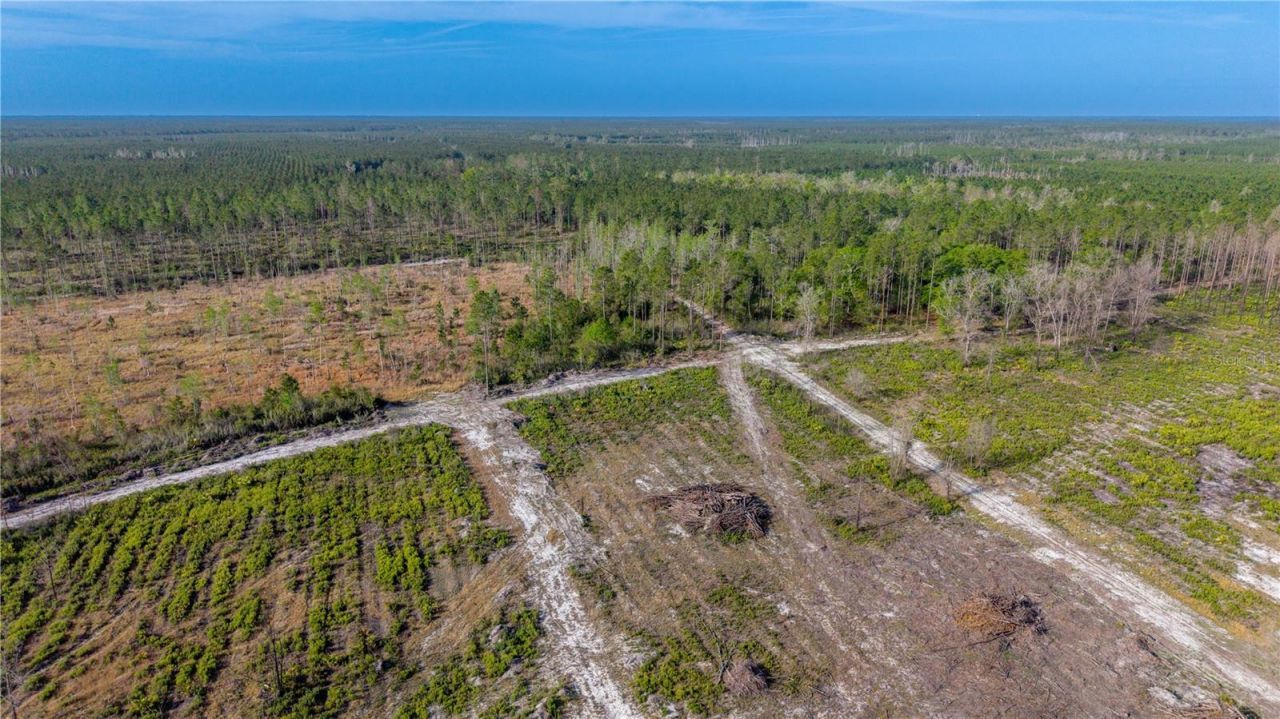 Tbd NE 83rd Way , Gainesville, FL 32609 Photo